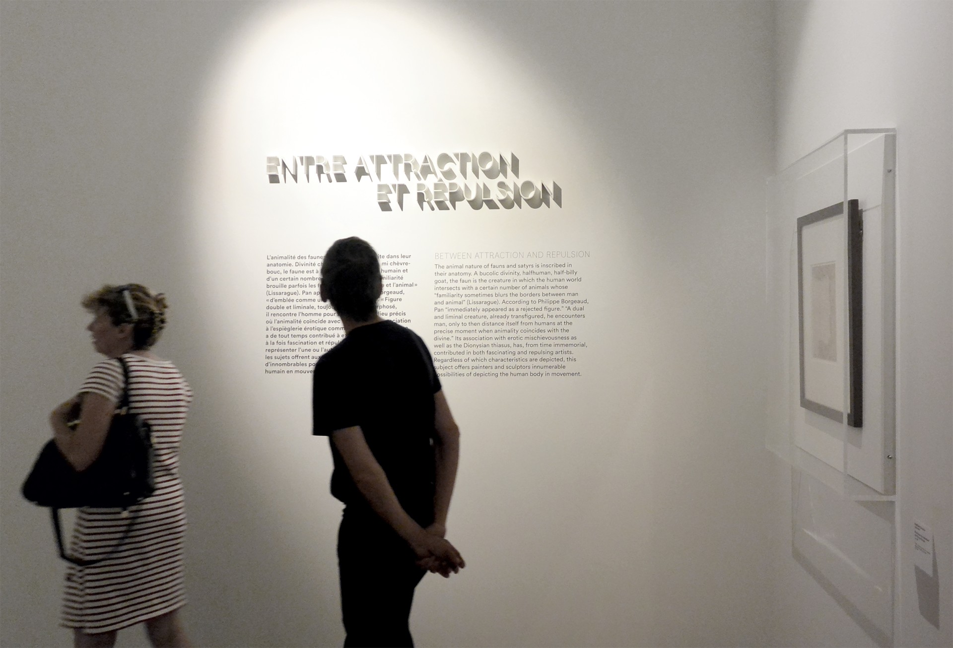studio-weg-faune-fais-moi-peur_lodeve-graphisme-exposition-faune-studio_weg_03.jpg