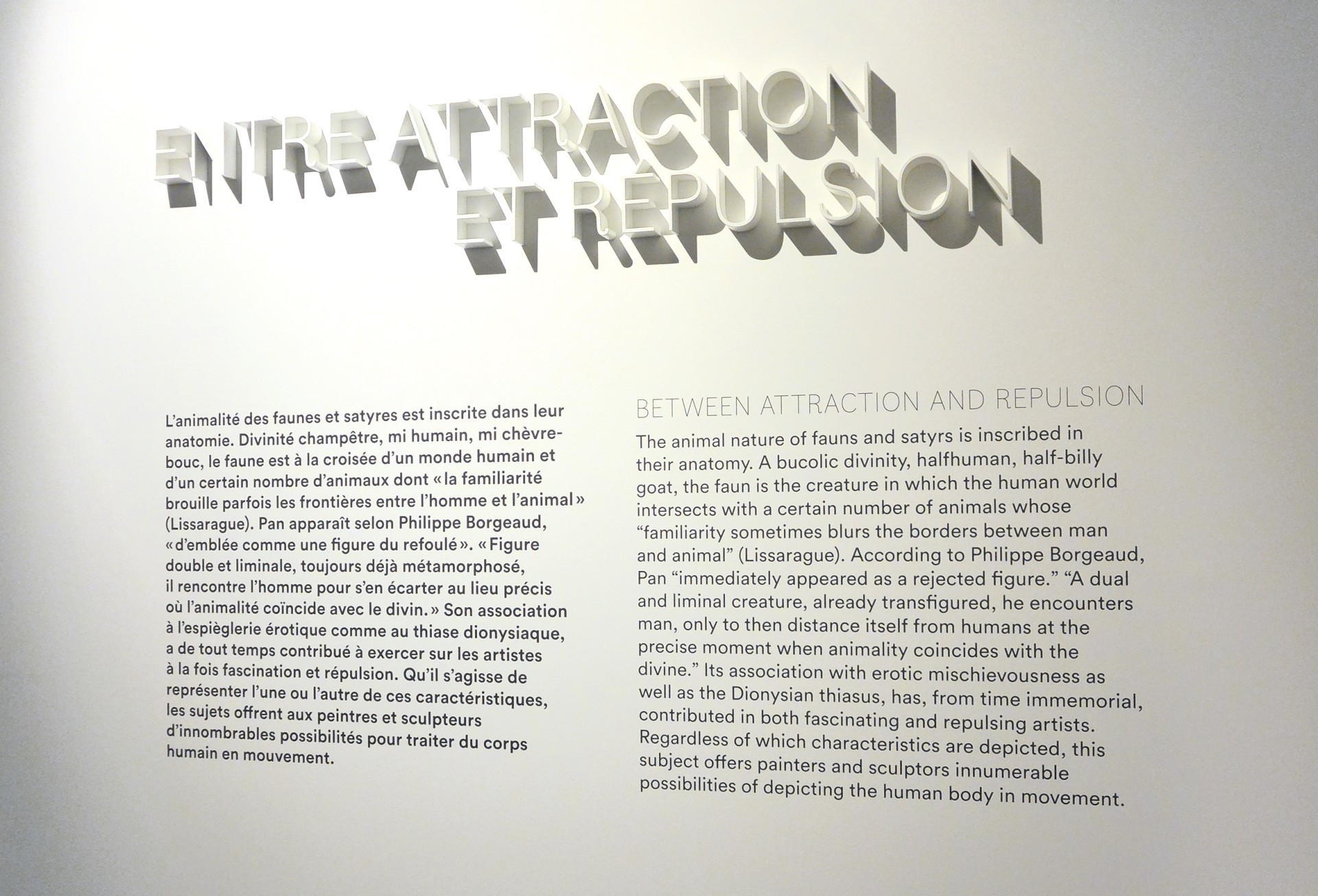 studio-weg-faune-fais-moi-peur_lodeve-graphisme-exposition-faune-studio_weg_05.jpg
