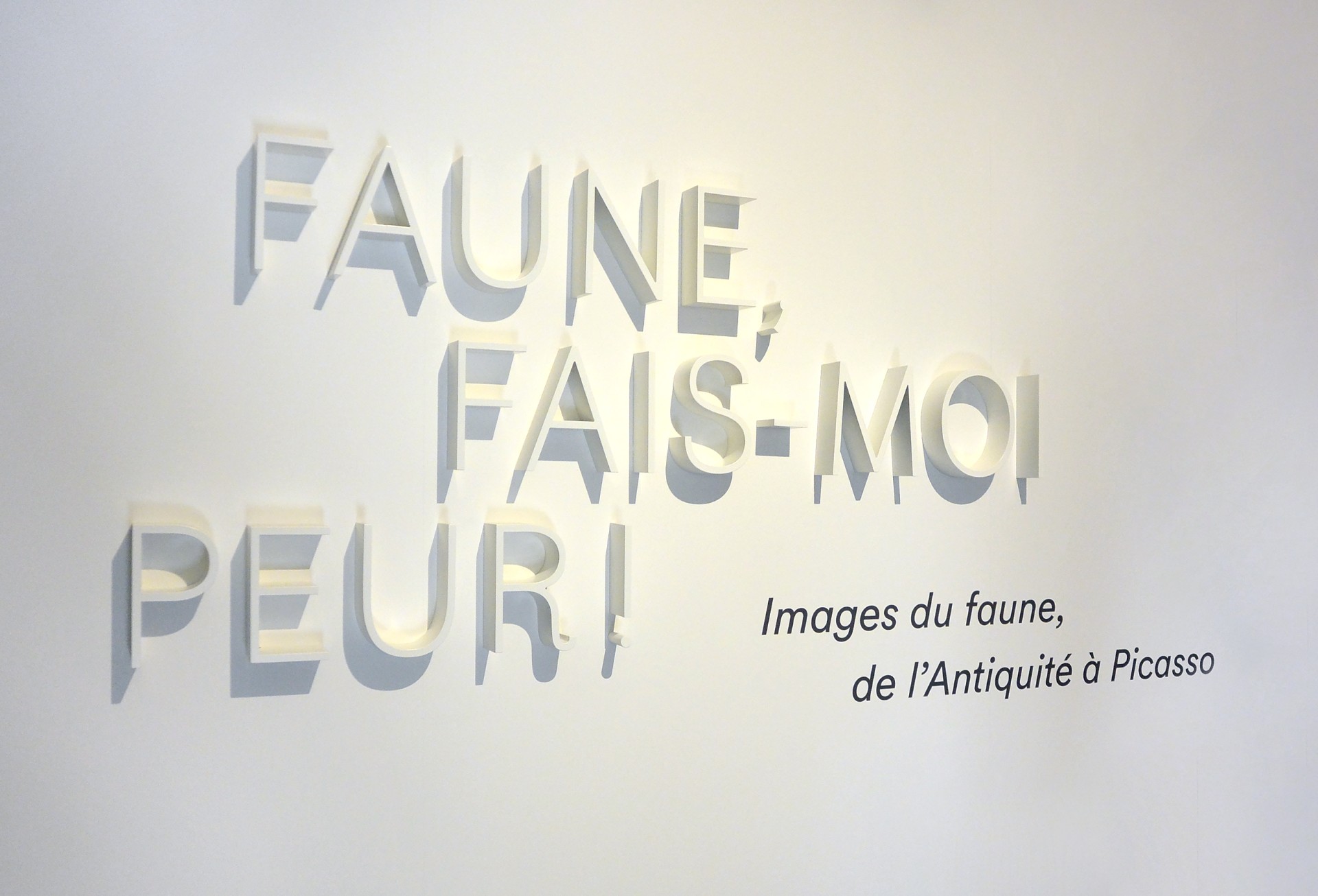 studio-weg-faune-fais-moi-peur_lodeve-graphisme-exposition-faune-studio_weg_06.jpg