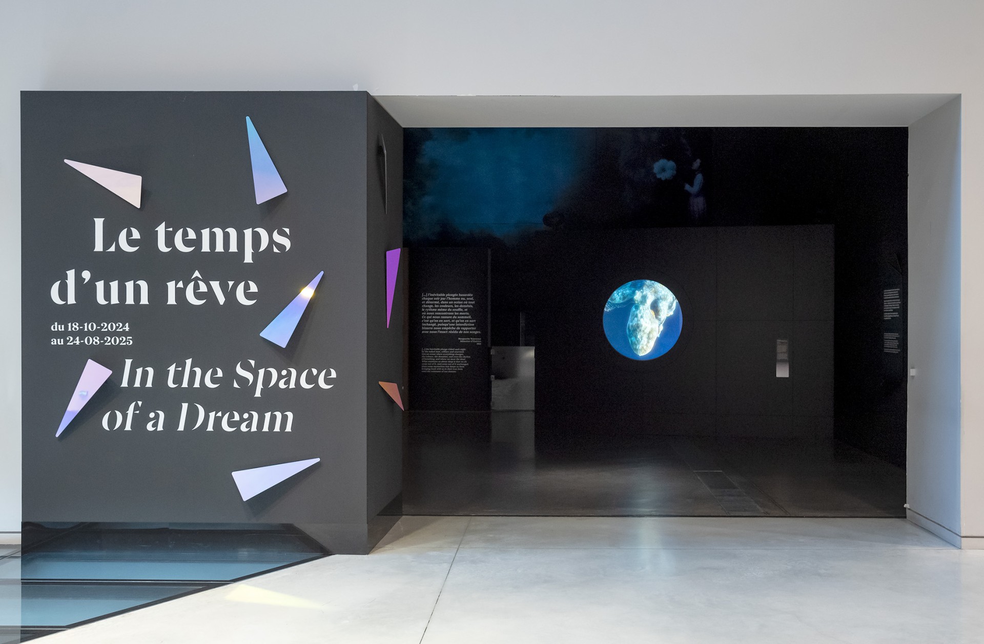 studio-weg-le-temps-dun-reve_musee-confluences-exposition-reves-studio-weg-01.jpg