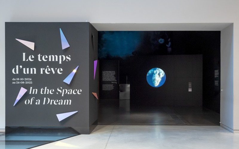 studio-weg-le-temps-dun-reve_musee-confluences-exposition-reves-studio-weg-01.jpg