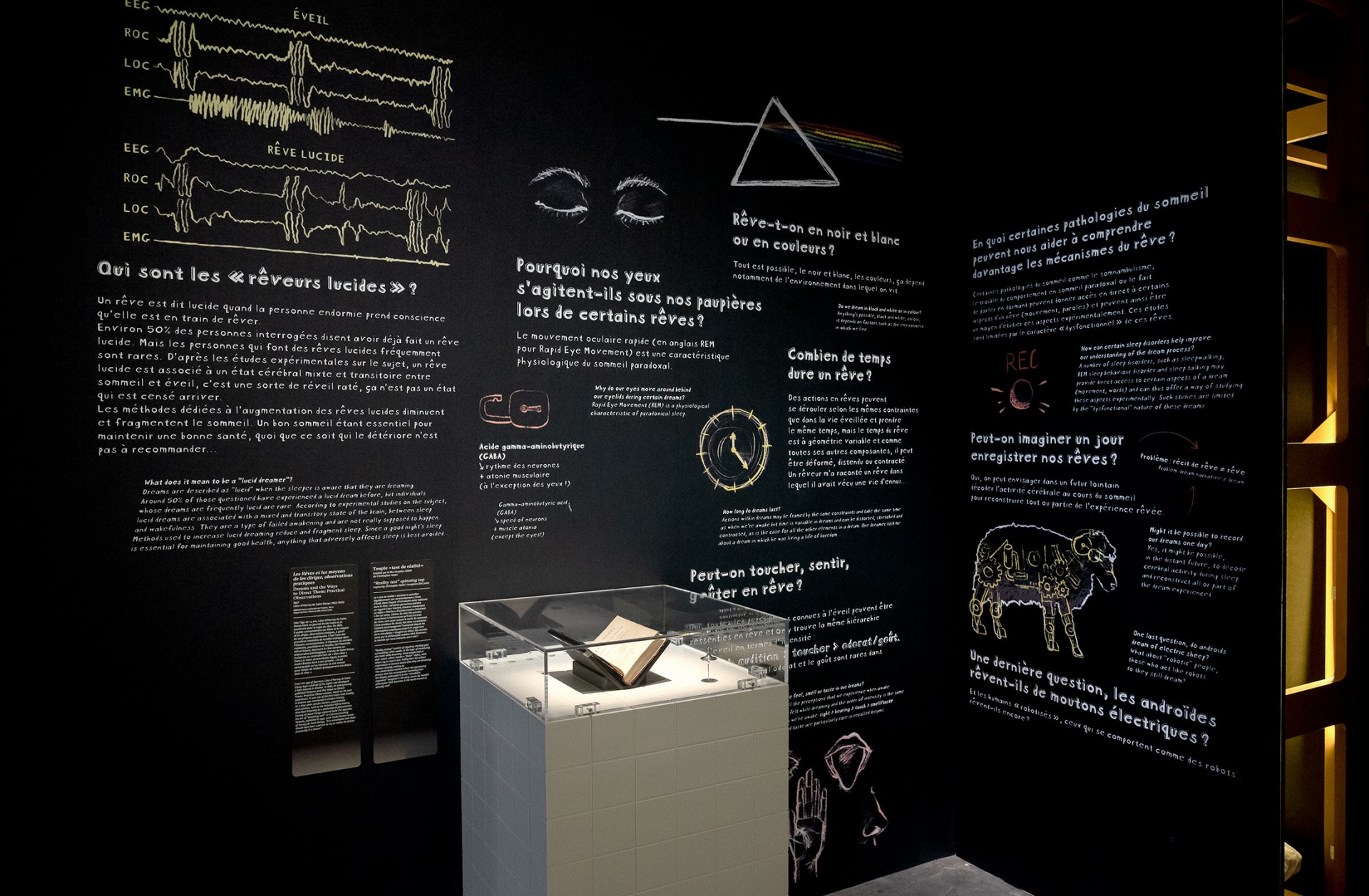 studio-weg-le-temps-dun-reve_musee-confluences-exposition-reves-studio-weg-04.jpg
