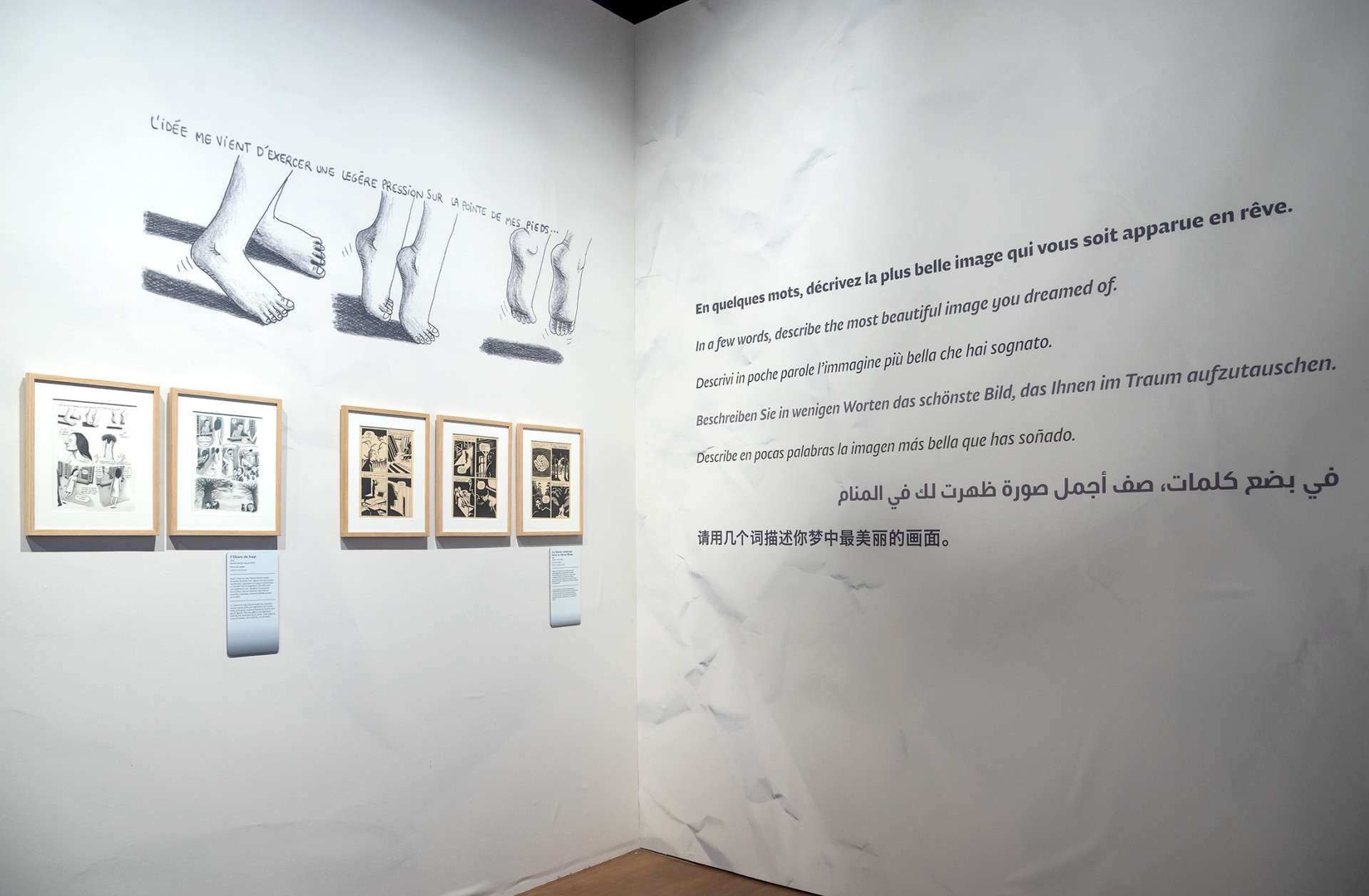 studio-weg-le-temps-dun-reve_musee-confluences-exposition-reves-studio-weg-20.jpg