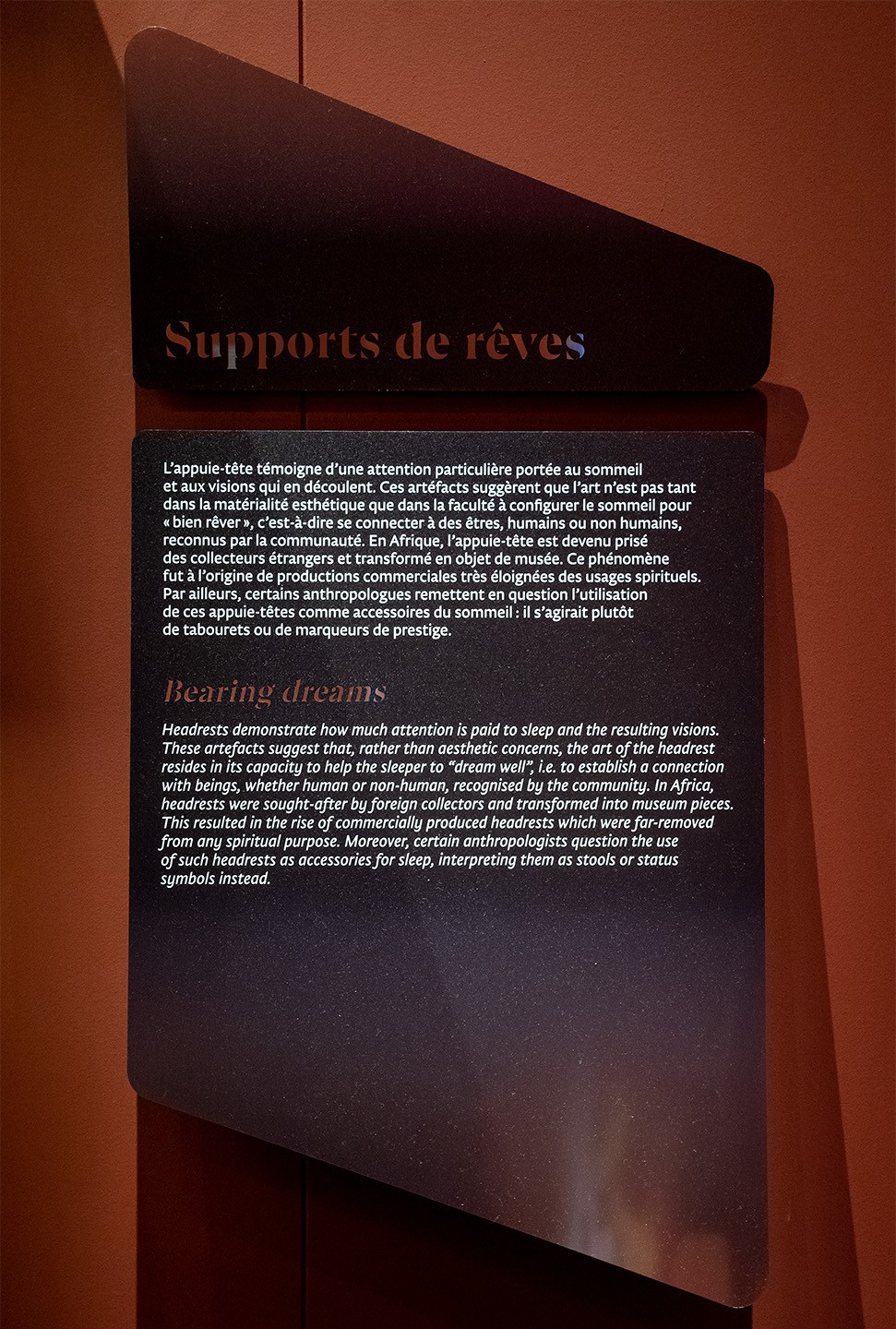 studio-weg-le-temps-dun-reve_musee-confluences-exposition-reves-studio-weg-19.jpg