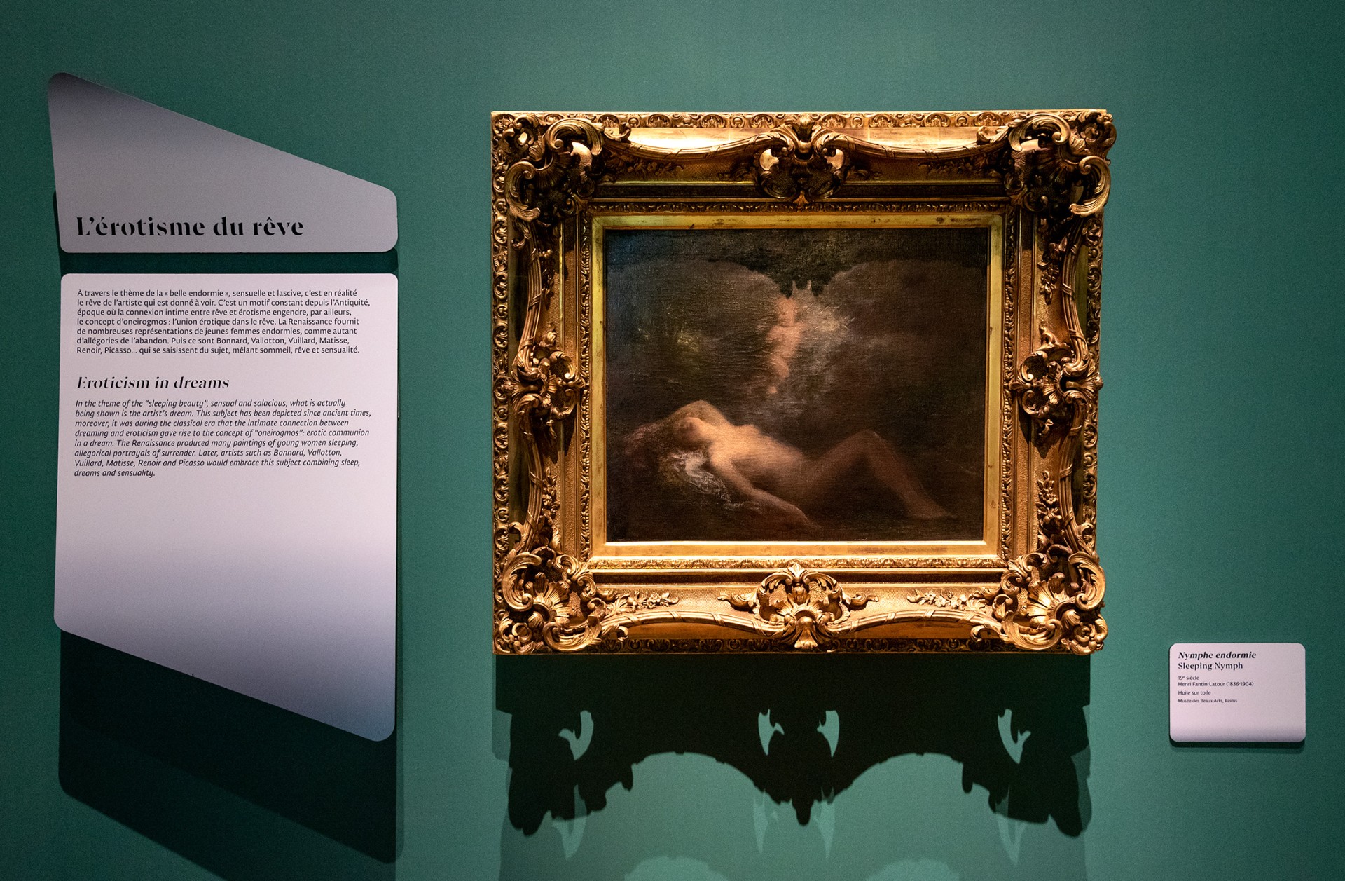 studio-weg-le-temps-dun-reve_musee-confluences-exposition-reves-studio-weg-10.jpg
