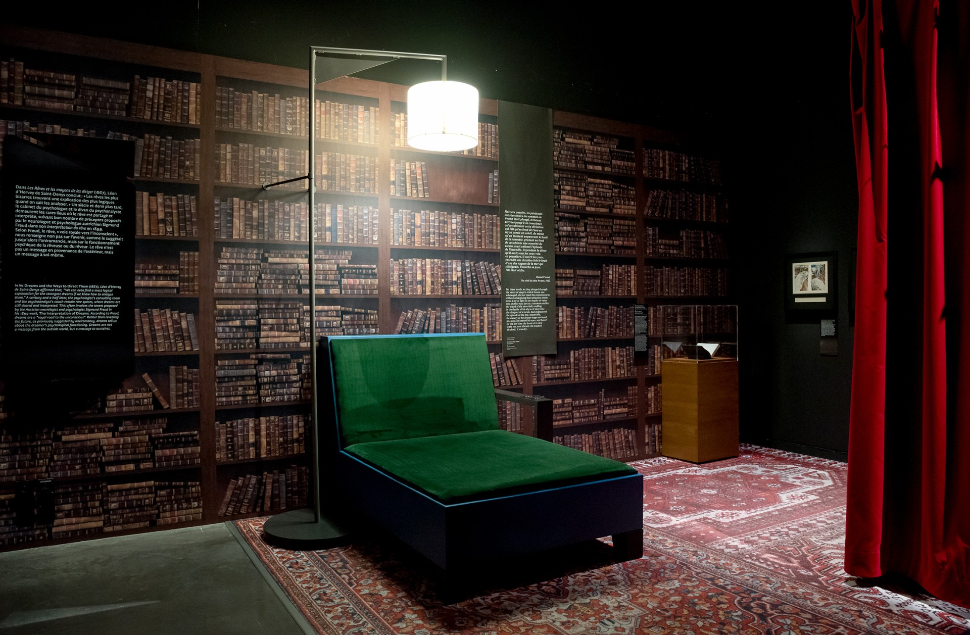 studio-weg-le-temps-dun-reve_musee-confluences-exposition-reves-studio-weg-15.jpg