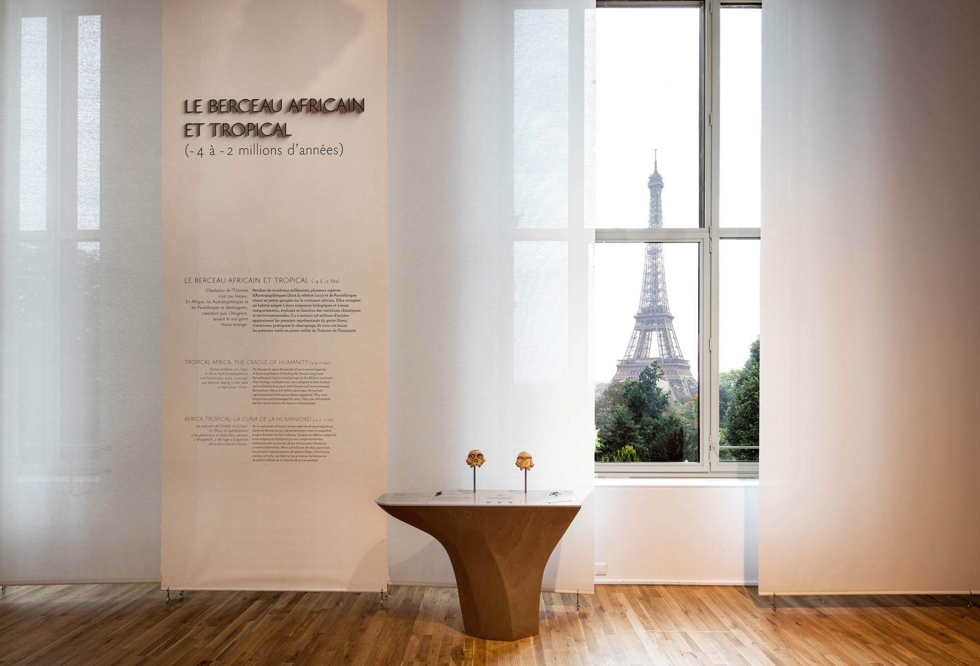 studio-weg-musee-de-lhomme_musee-de-l-homme-exposition-studio_weg-01.jpg