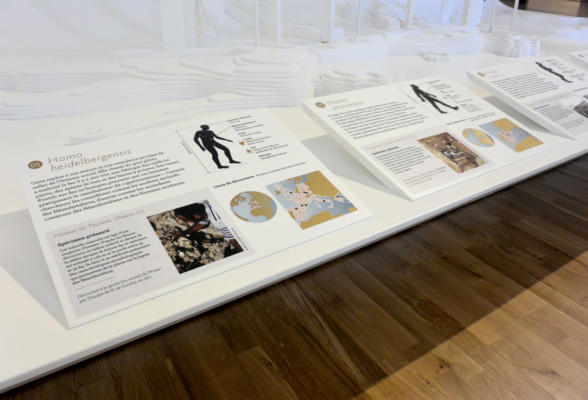 studio-weg-musee-de-lhomme_musee-de-l-homme-exposition-studio_weg-21.jpg