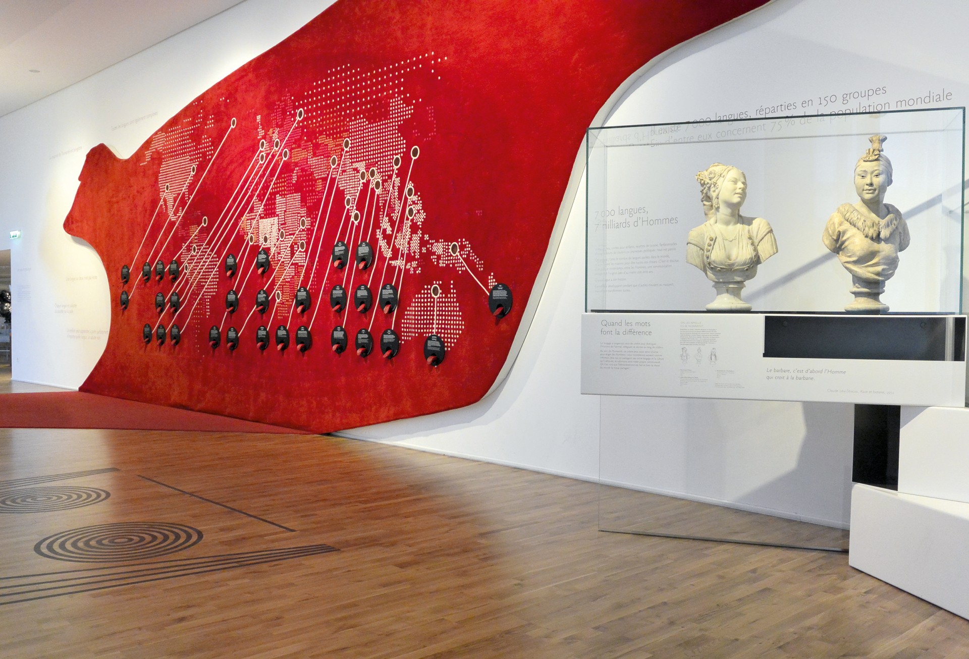 studio-weg-musee-de-lhomme_musee-de-l-homme-exposition-studio_weg-20.jpg