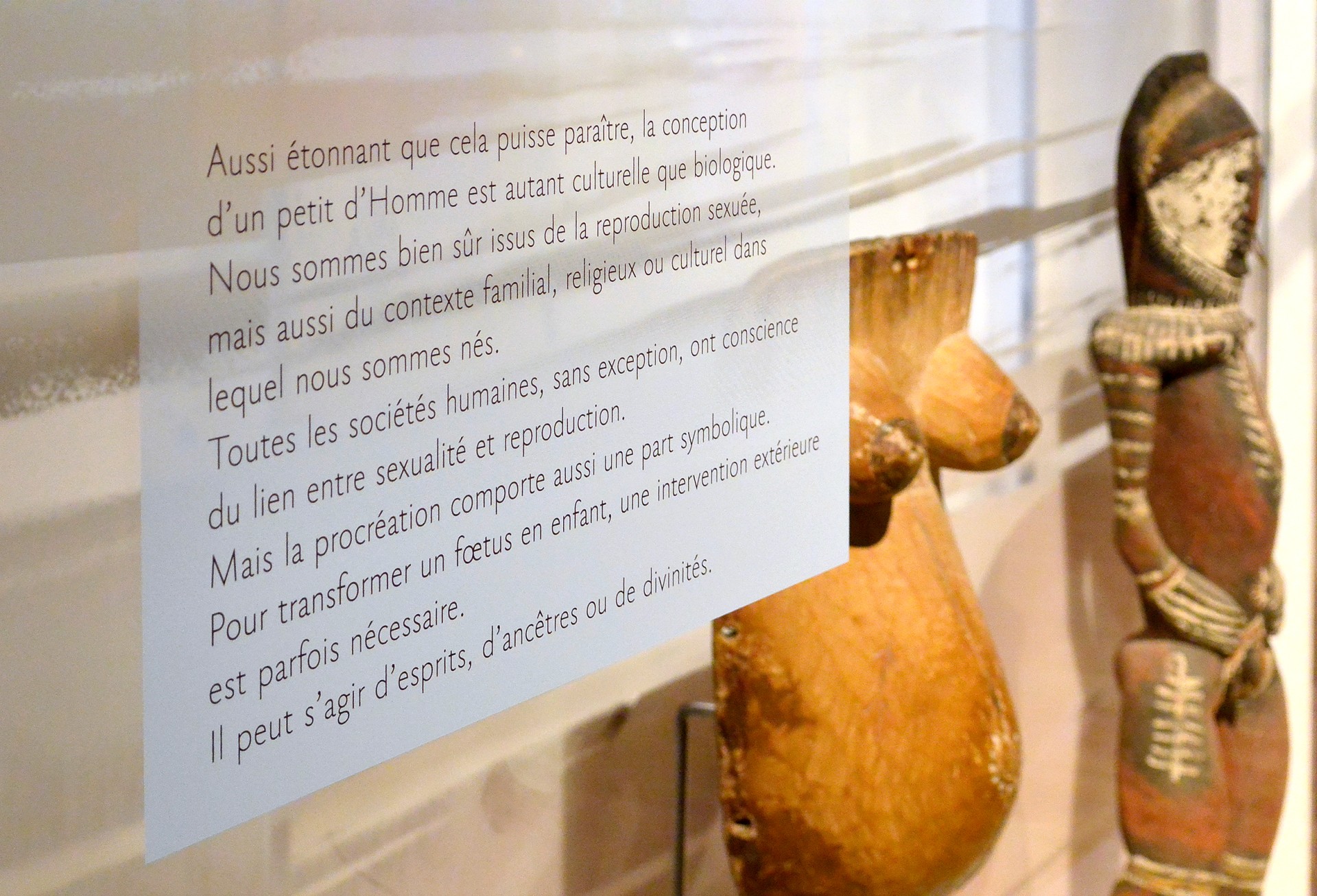 studio-weg-musee-de-lhomme_musee-de-l-homme-exposition-studio_weg-16.jpg