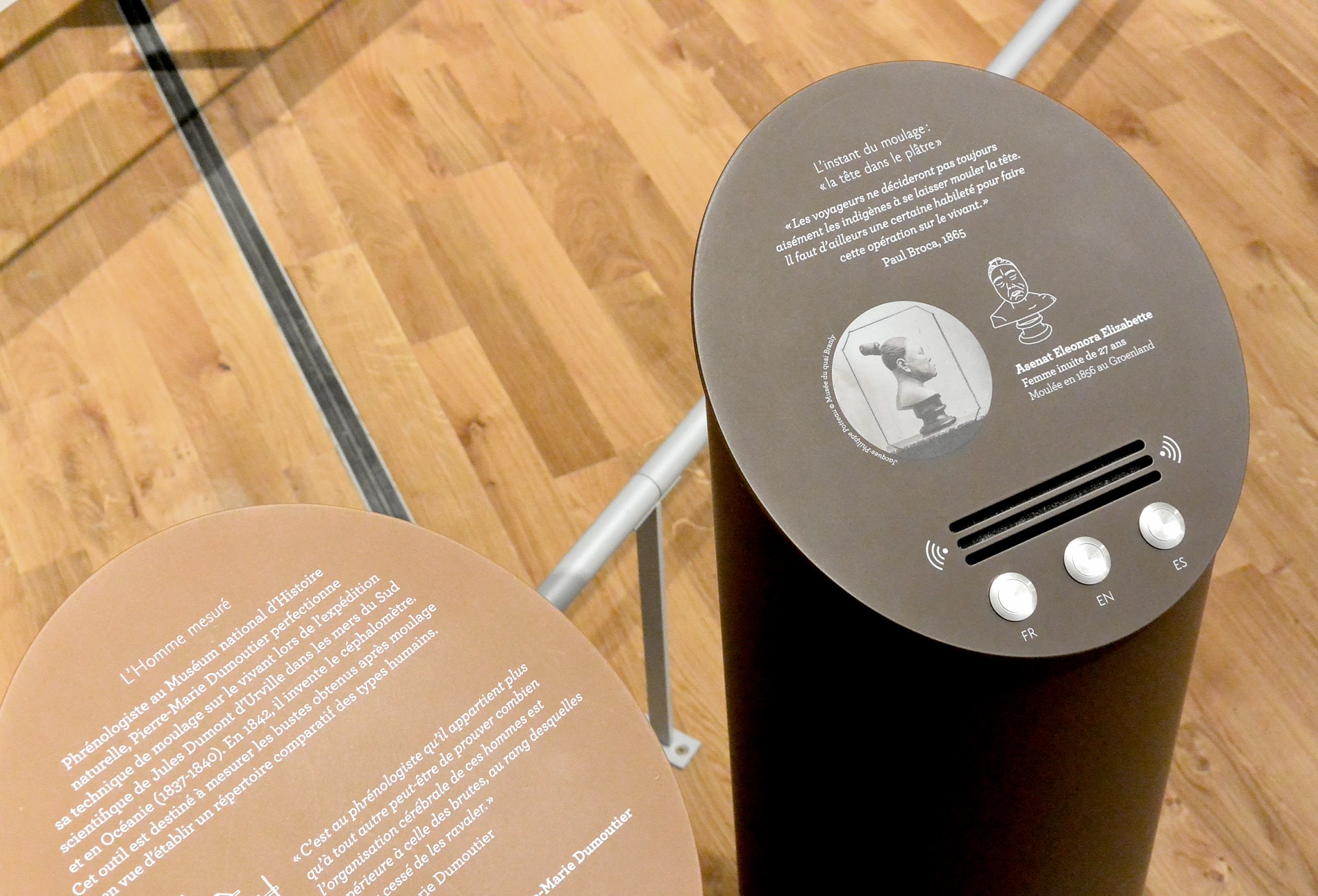 studio-weg-musee-de-lhomme_musee-de-l-homme-exposition-studio_weg-15.jpg