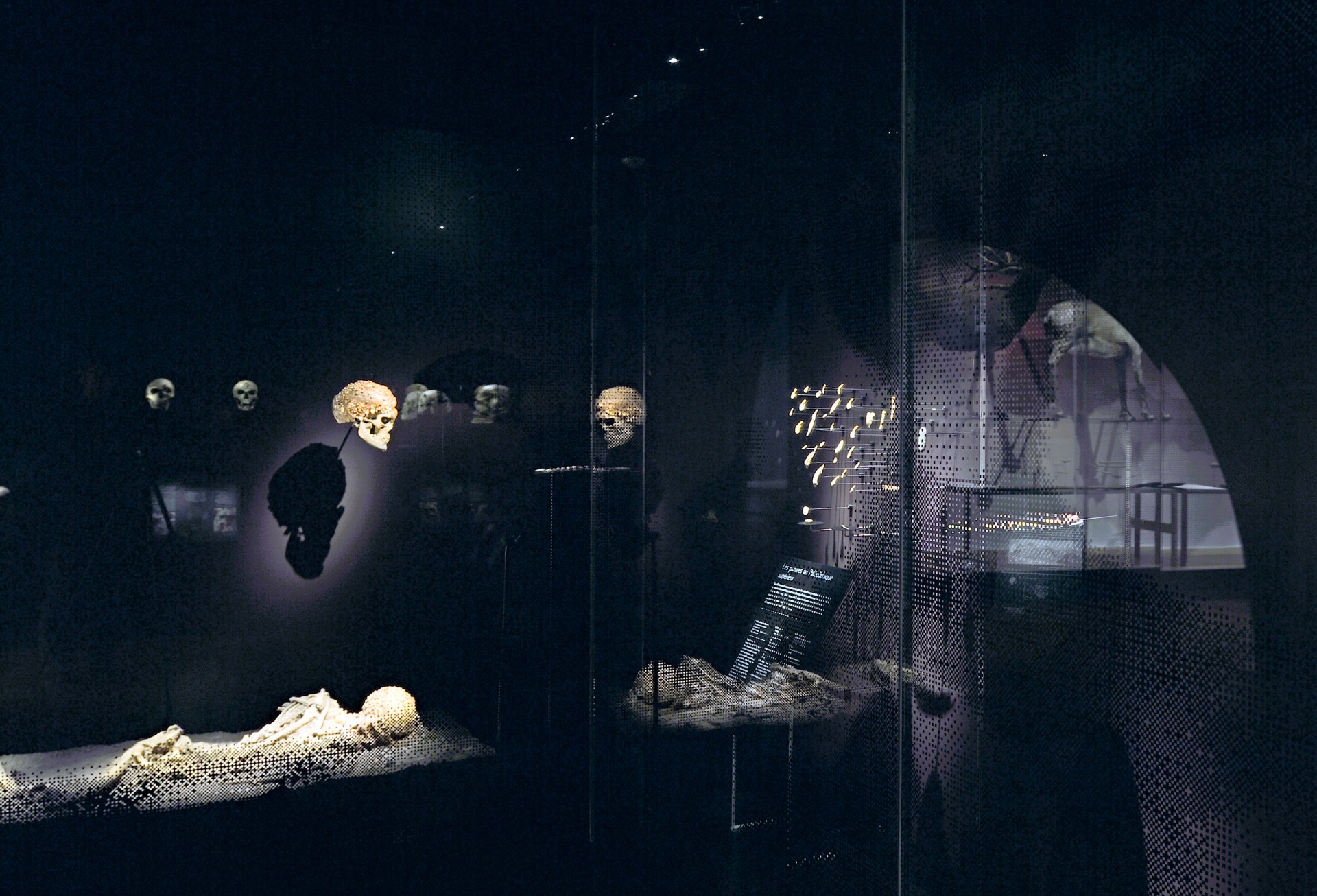 studio-weg-musee-de-lhomme_musee-de-l-homme-exposition-studio_weg-04.jpg