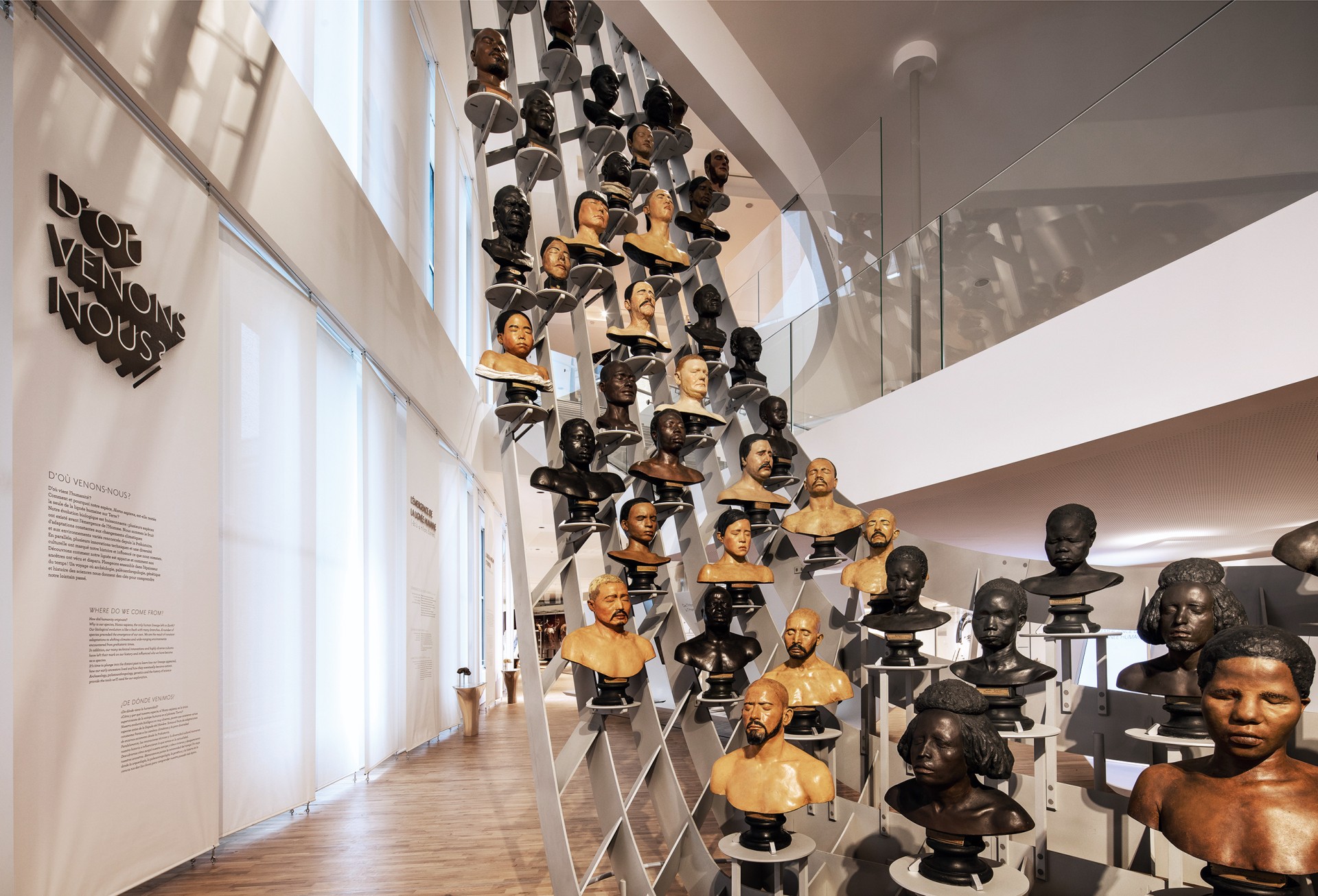 studio-weg-musee-de-lhomme_musee-de-l-homme-exposition-studio_weg-02.jpg