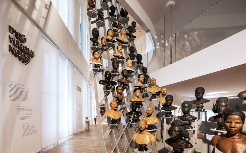 studio-weg-musee-de-lhomme_musee-de-l-homme-exposition-studio_weg-02.jpg