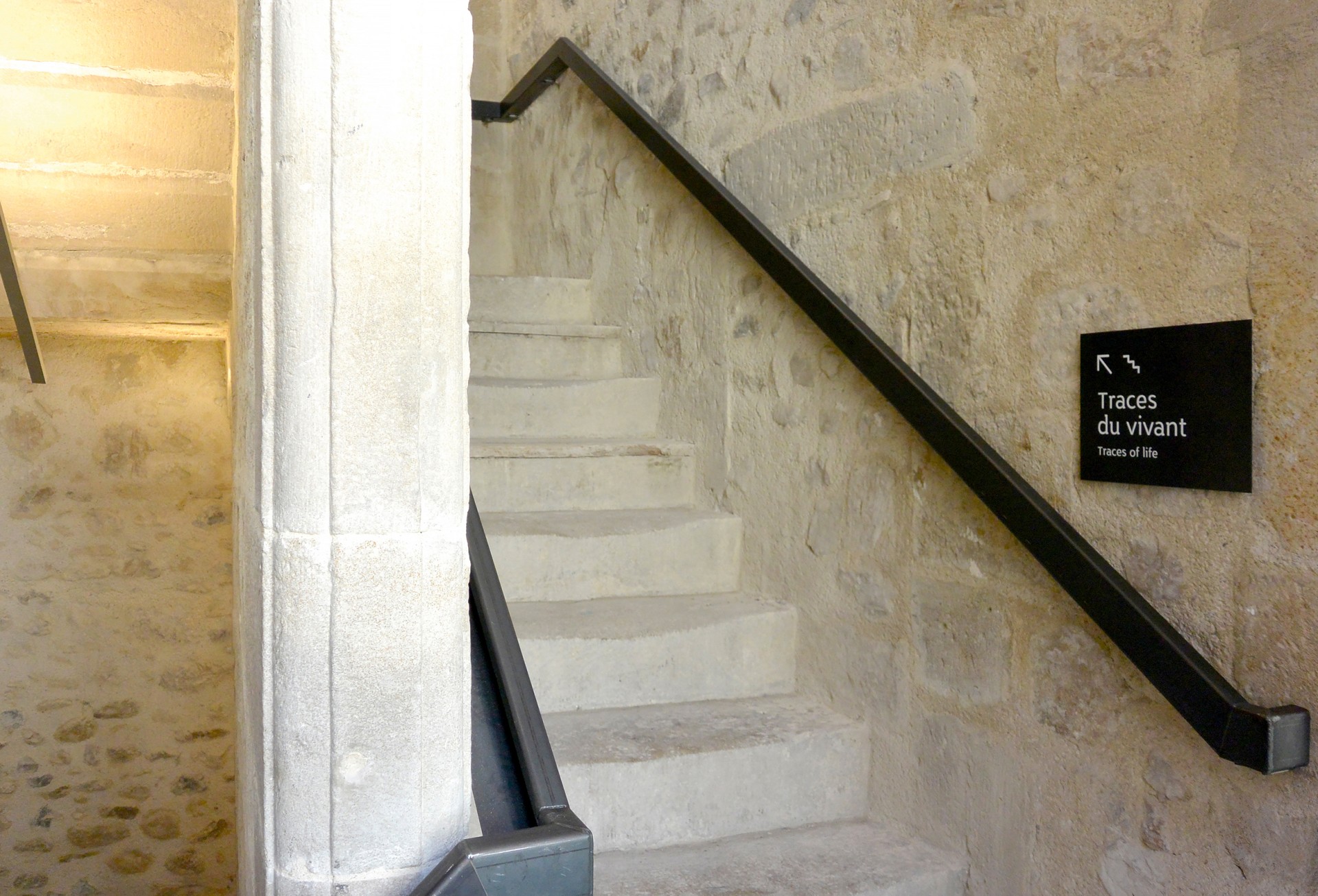 studio-weg-musee-de-lodeve_lodeve-signaletique-studio_weg_06.jpg