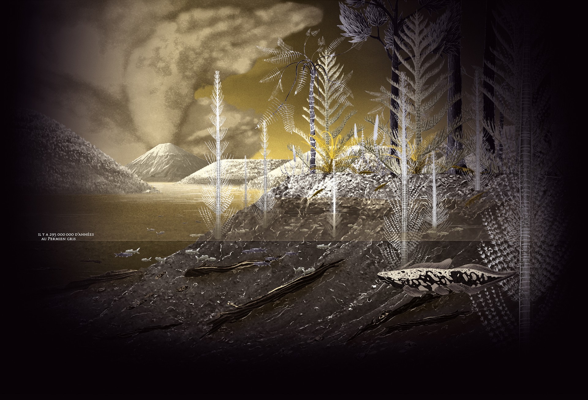 studio-weg-musee-de-lodeve_lodeve-graphisme-exposition-science-de-la-terre-studio_weg_25.jpg