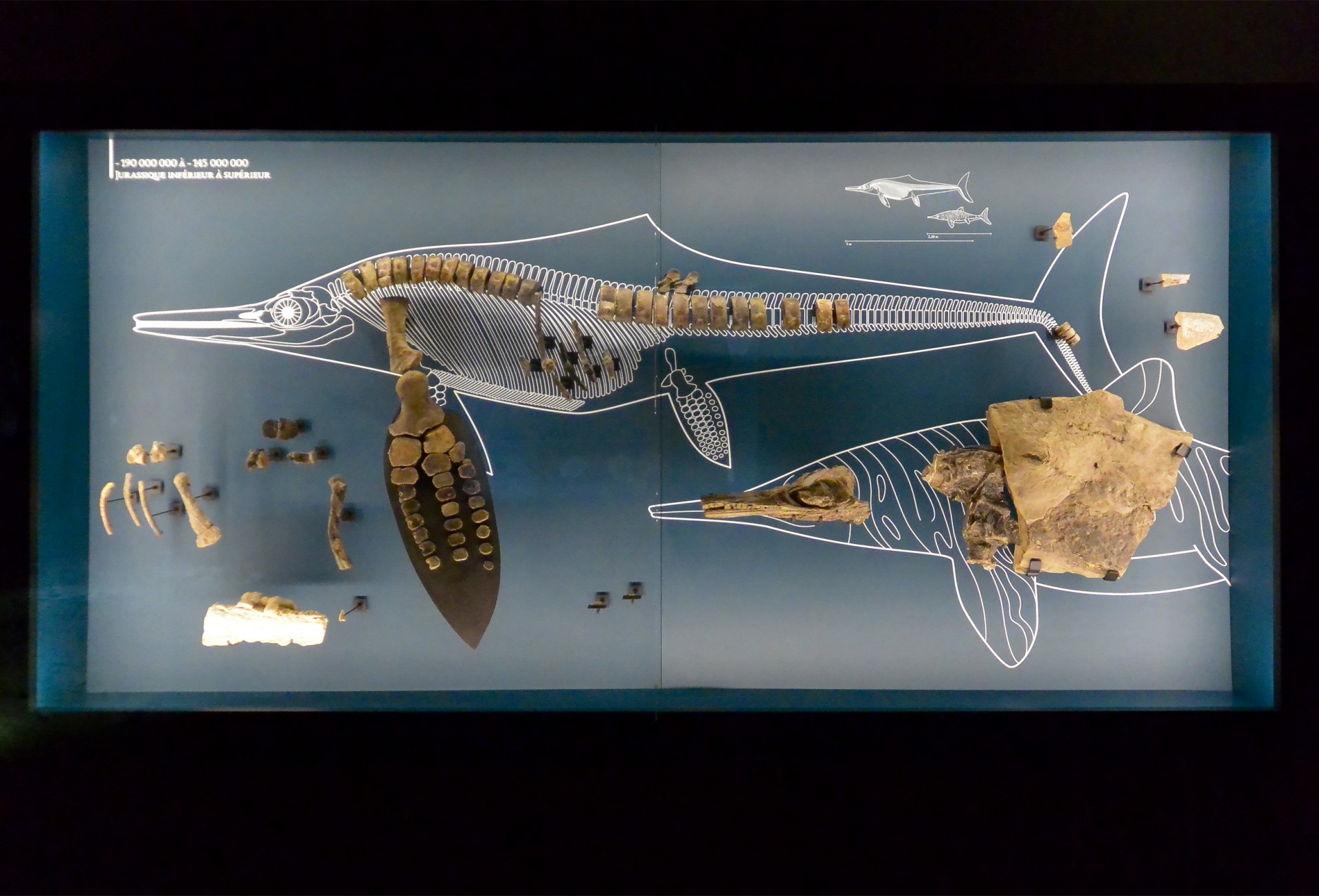 studio-weg-musee-de-lodeve_lodeve-graphisme-exposition-science-de-la-terre-studio_weg_05.jpg
