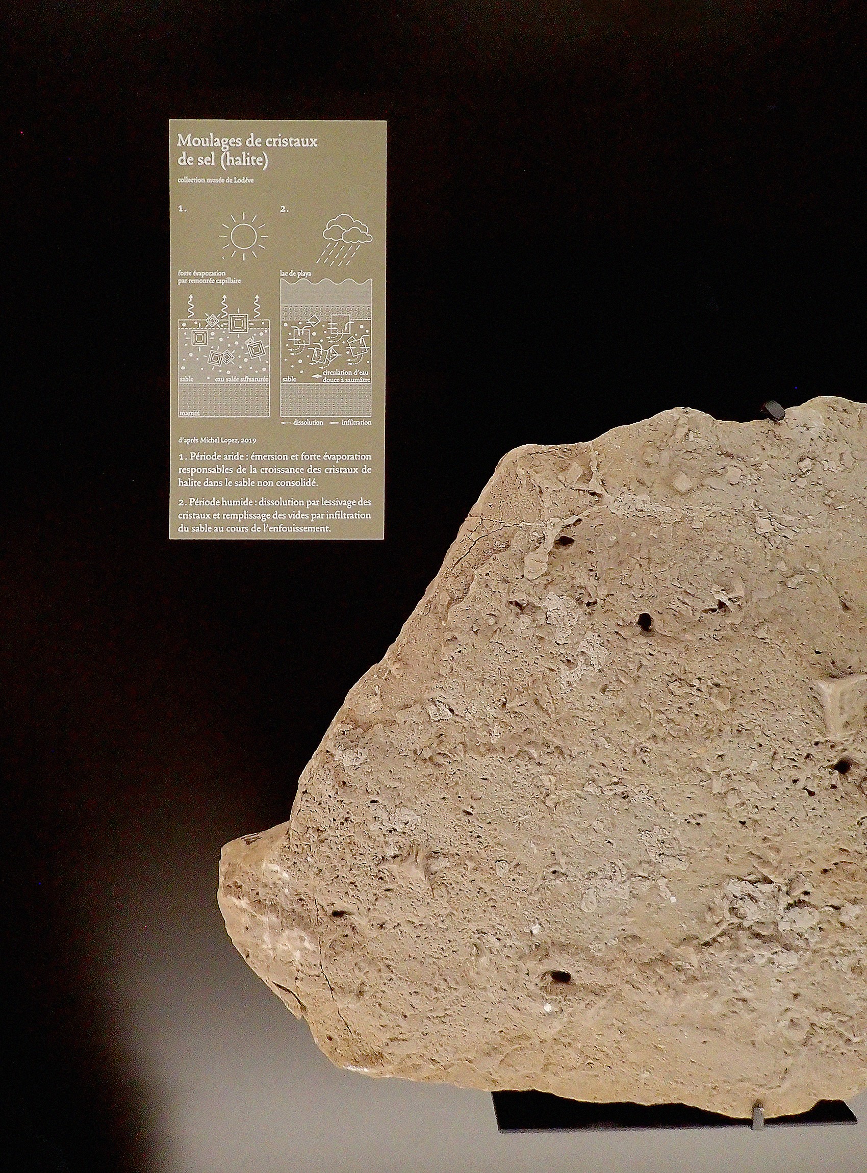 studio-weg-musee-de-lodeve_lodeve-graphisme-exposition-science-de-la-terre-studio_weg_16.jpg