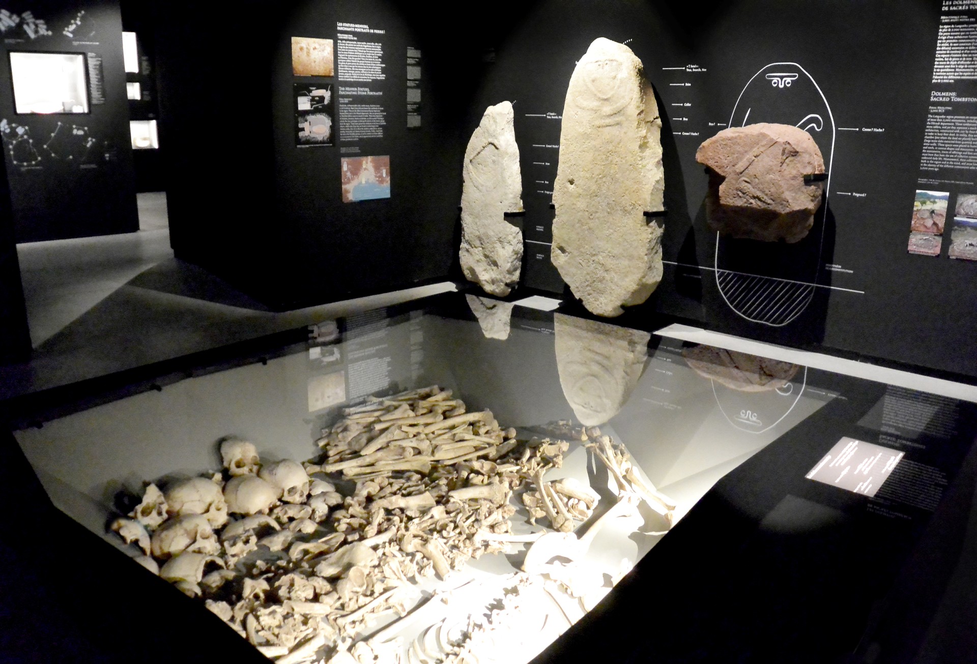 studio-weg-musee-de-lodeve_lodeve-graphisme-exposition-archeologie-studio_weg_05.jpg