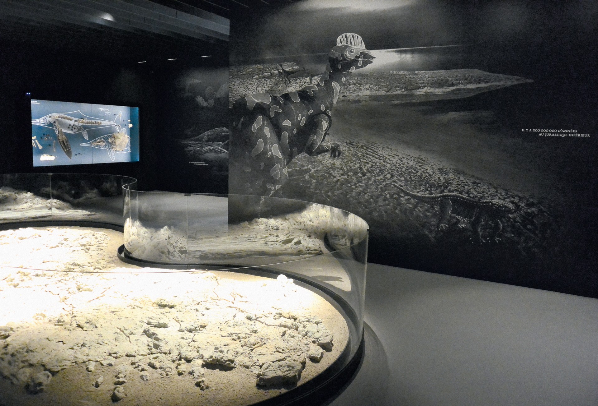 studio-weg-musee-de-lodeve_lodeve-graphisme-exposition-science-de-la-terre-studio_weg_07.jpg