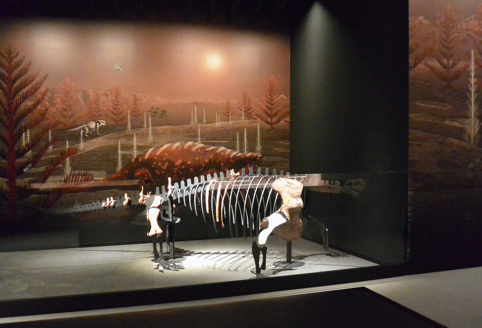 studio-weg-musee-de-lodeve_lodeve-graphisme-exposition-science-de-la-terre-studio_weg_08.jpg