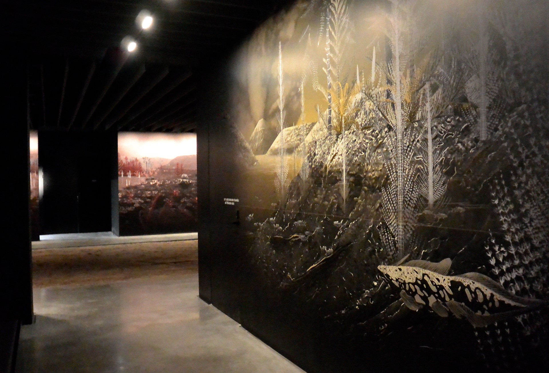 studio-weg-musee-de-lodeve_lodeve-graphisme-exposition-science-de-la-terre-studio_weg_13.jpg