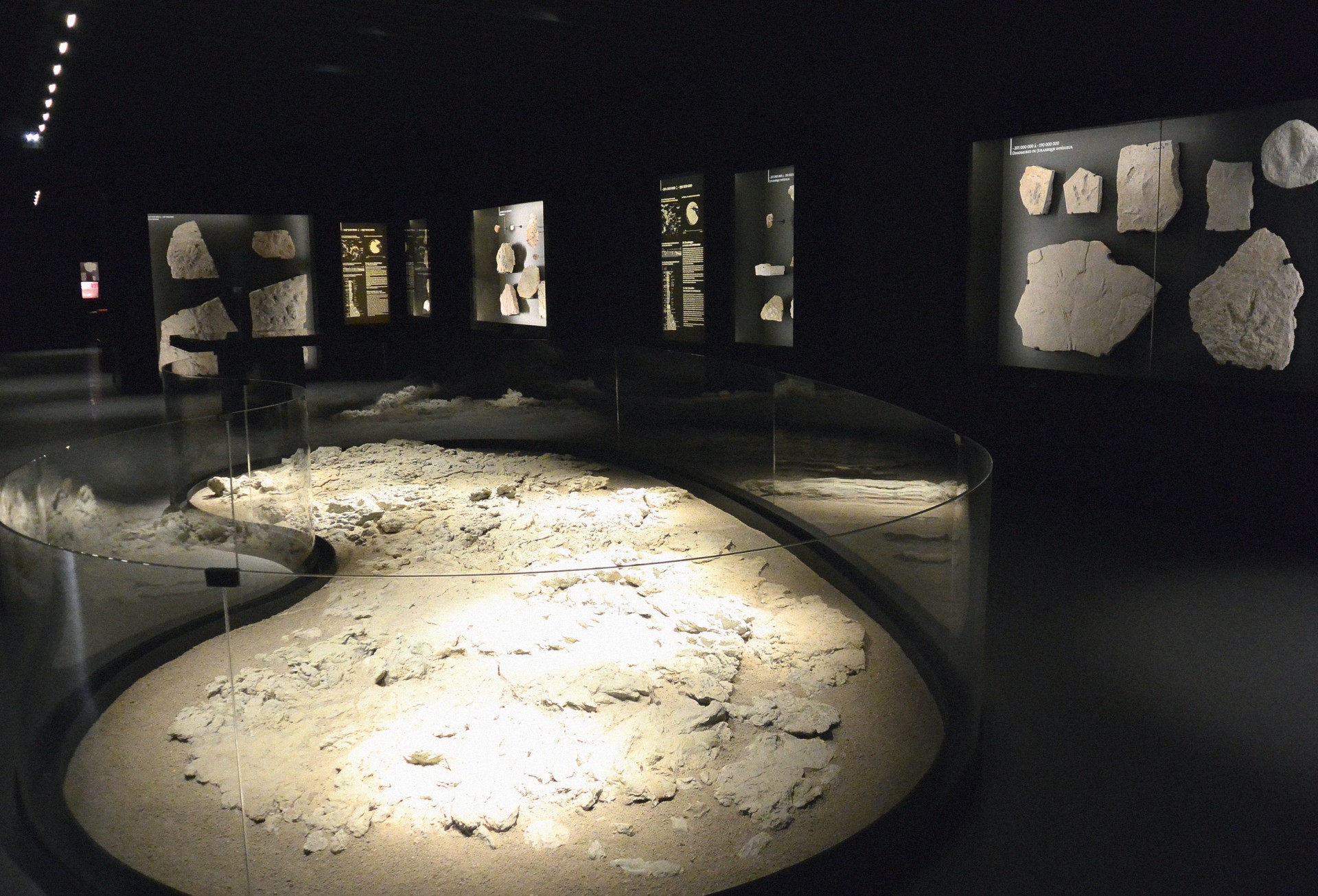 studio-weg-musee-de-lodeve_lodeve-graphisme-exposition-science-de-la-terre-studio_weg_06.jpg