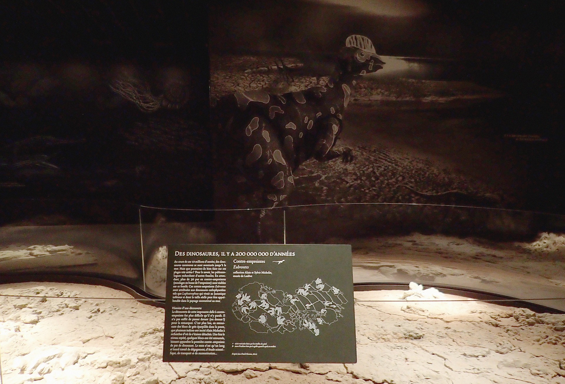 studio-weg-musee-de-lodeve_lodeve-graphisme-exposition-science-de-la-terre-studio_weg_15.jpg