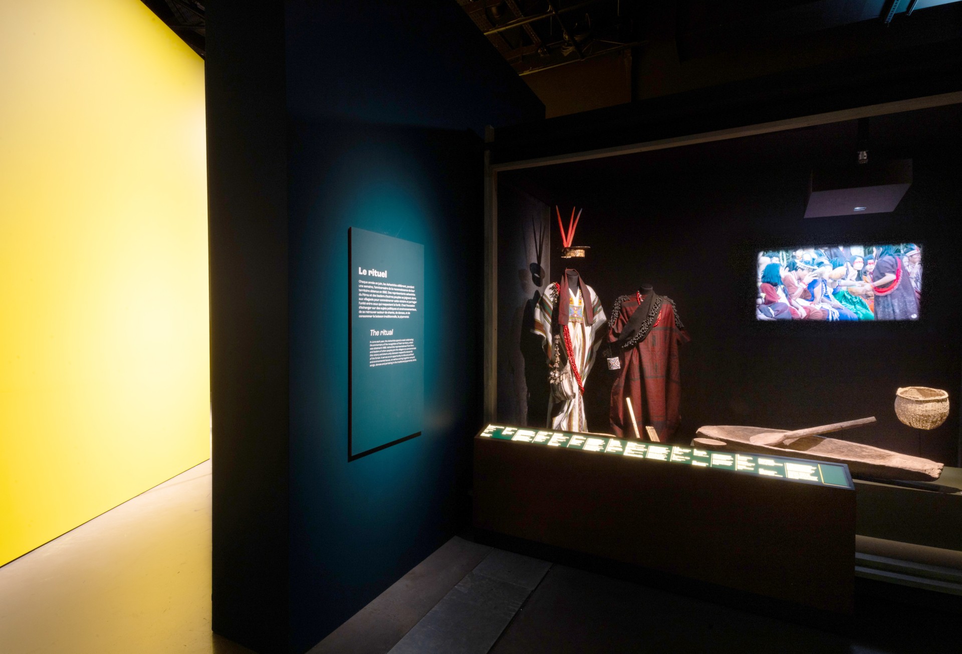 studio-weg-amazonies_museeconfluencesamazonies30_copyrightstofleth-weg.jpg