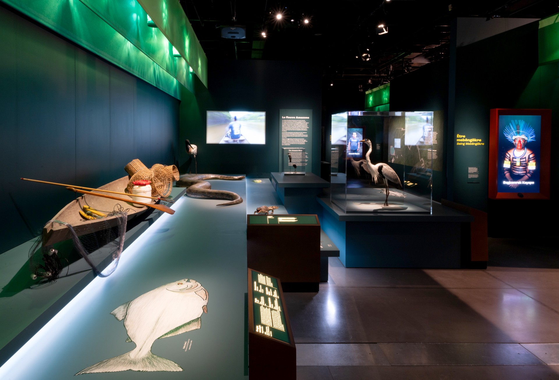 studio-weg-amazonies_museeconfluencesamazonies07_copyrightstofleth-weg.jpg