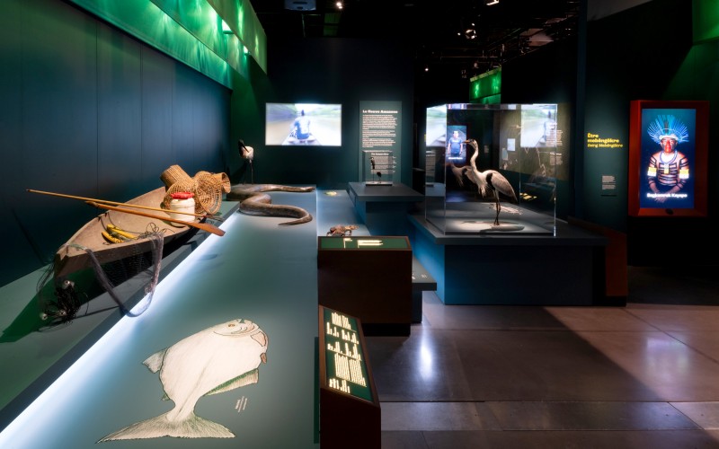 studio-weg-amazonies_museeconfluencesamazonies07_copyrightstofleth-weg.jpg