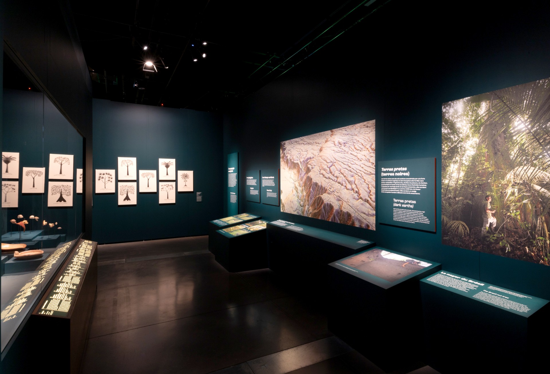 studio-weg-amazonies_museeconfluencesamazonies08_copyrightstofleth-weg.jpg