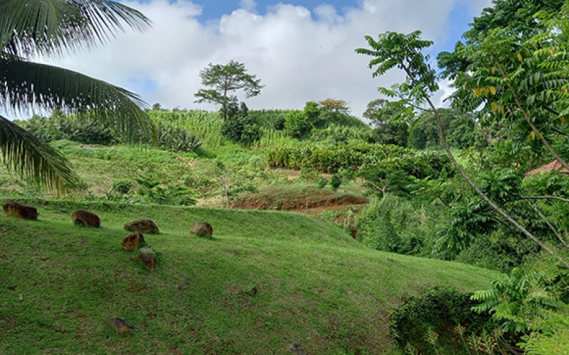 studio-weg-parcours-agri-touristique_denel-royal-martinique_b-hebrard.jpg