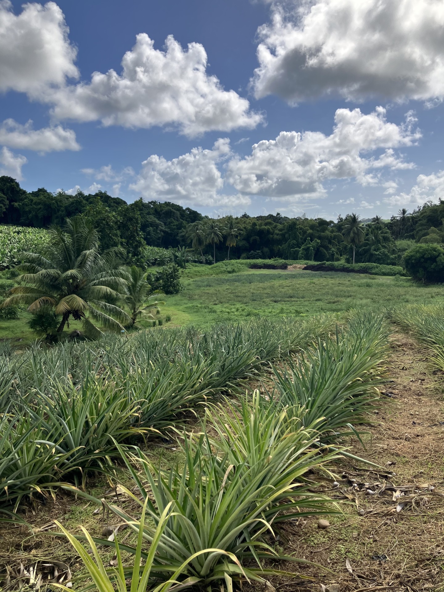 studio-weg-parcours-agri-touristique_img_6180.jpg